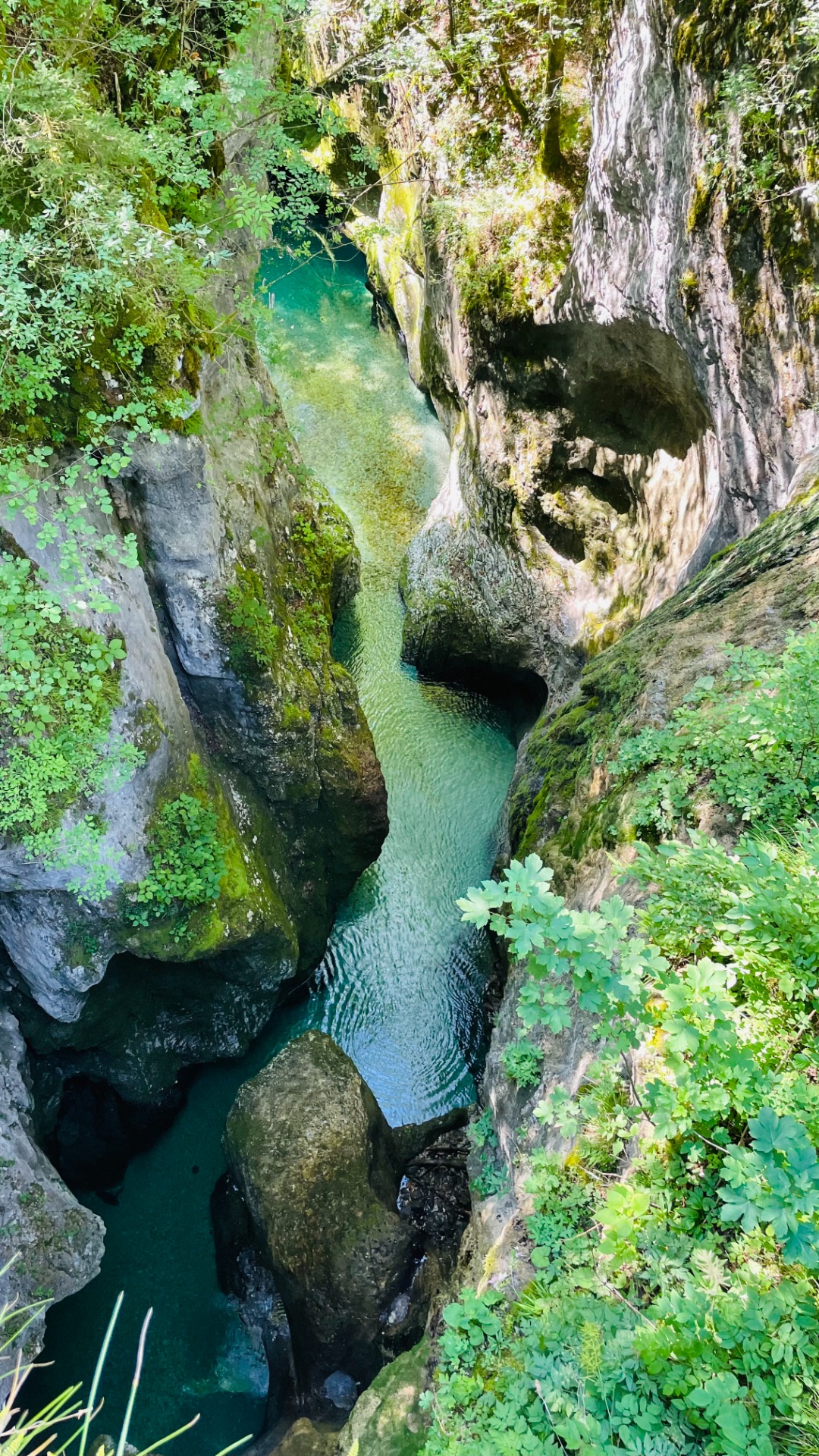 Korita Mostnica