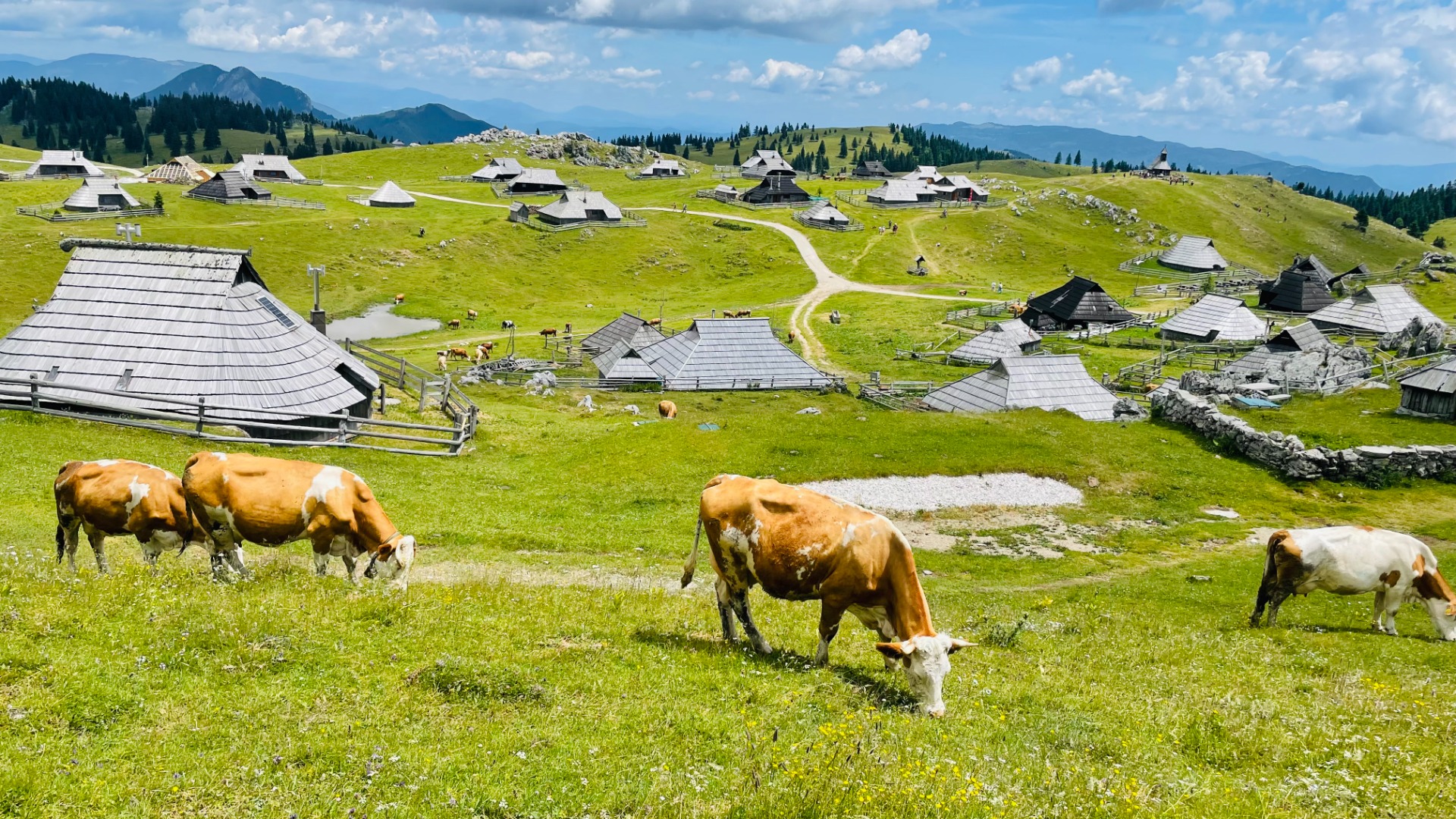 Velika Planina, Kamniška Bistrica